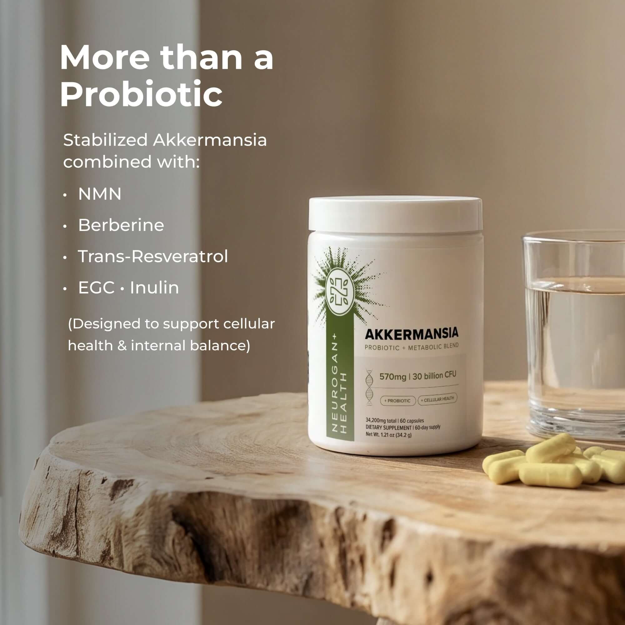 Akkermansia Probiotic - Image 6