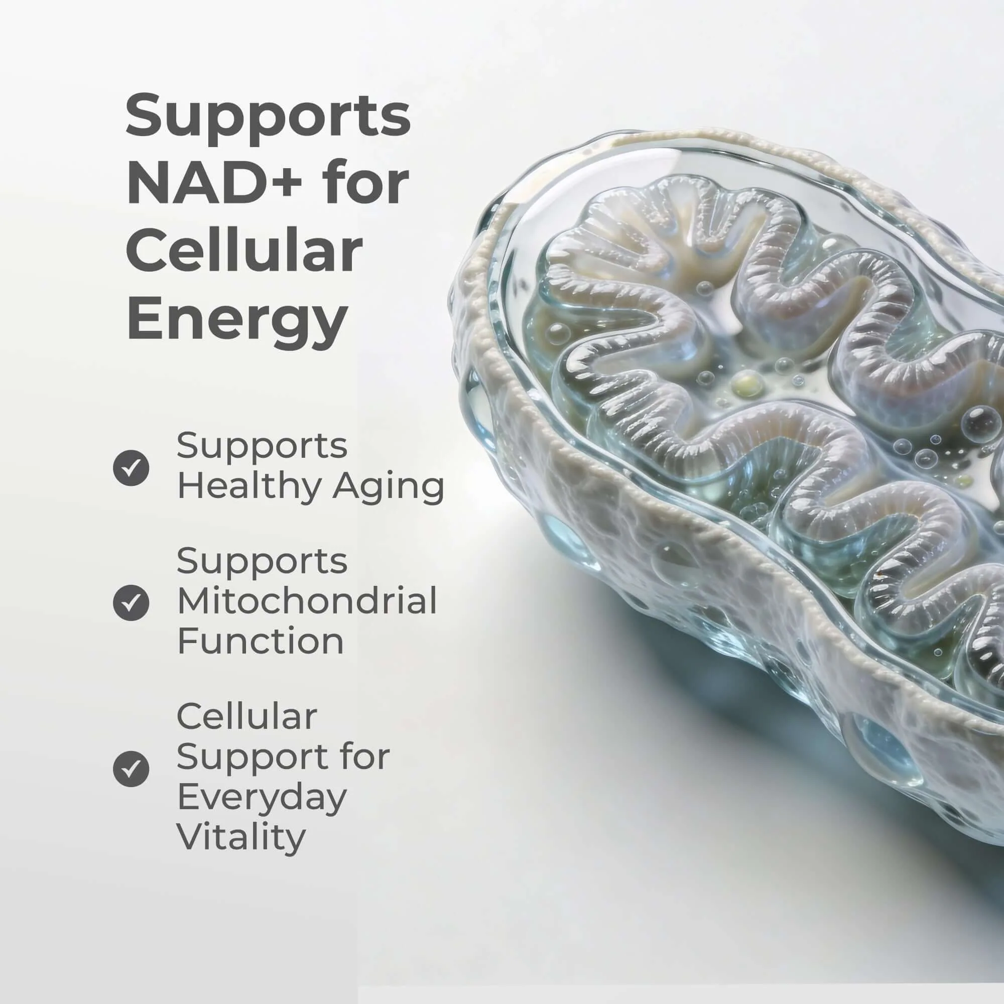 Liposomal NMN Capsules - Image 7