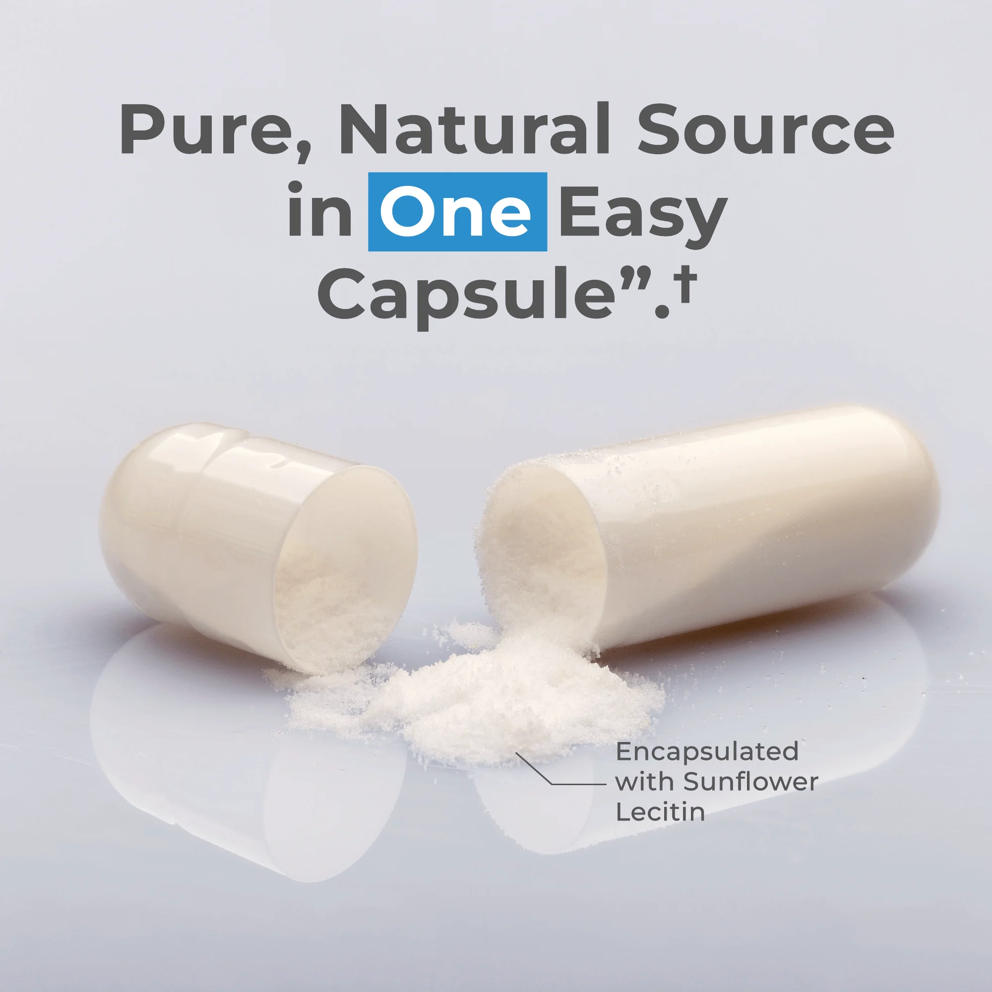 Liposomal Spermidine Capsules - Image 3