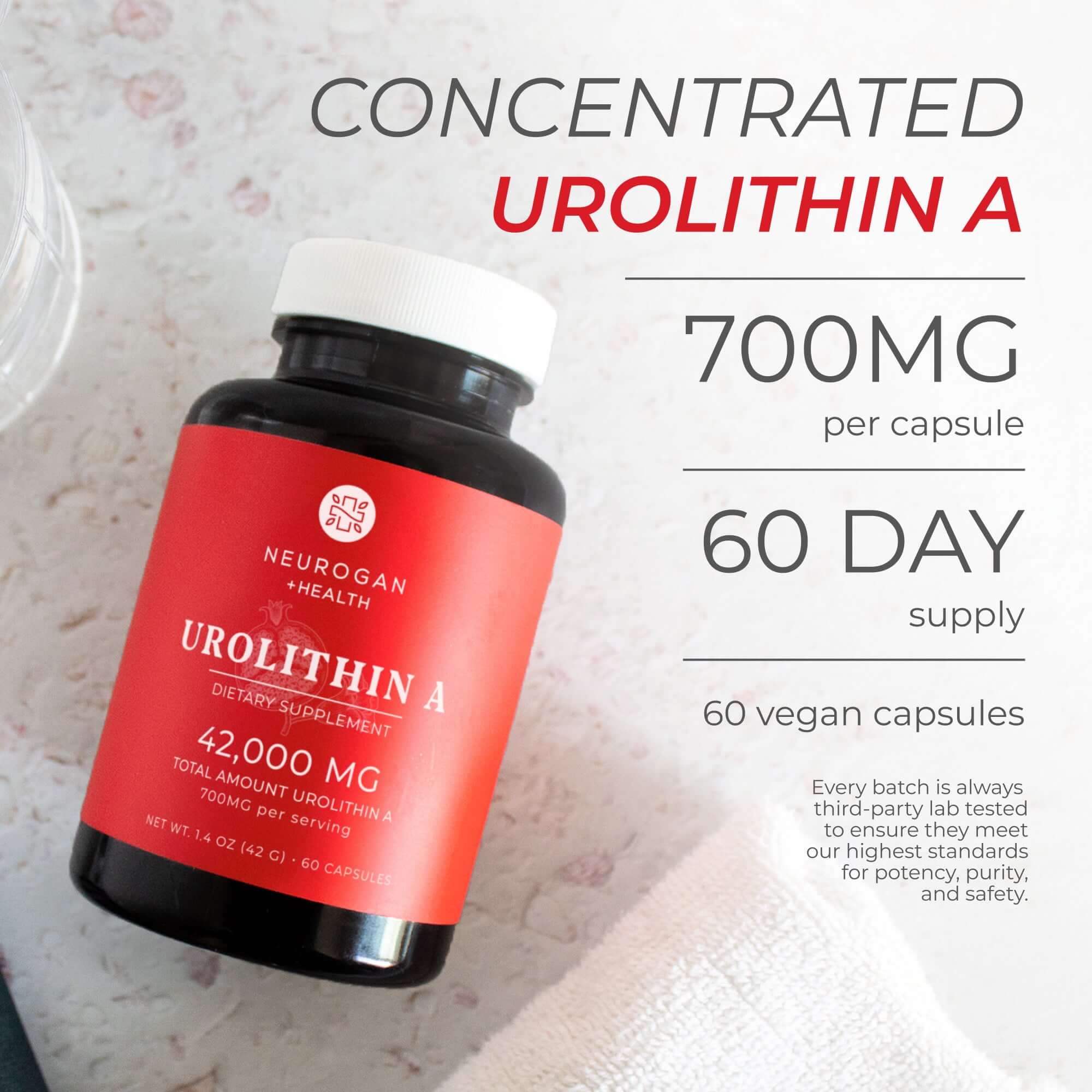 Urolithin A Capsules - Image 3